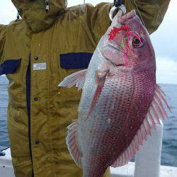 リトルワン 釣果