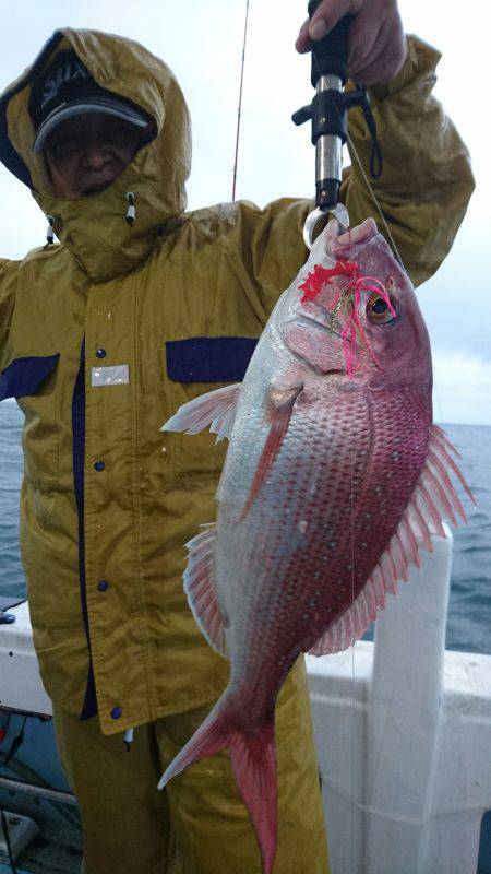 リトルワン 釣果