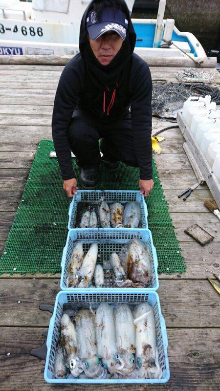 シードリーム 釣果