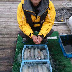 シードリーム 釣果