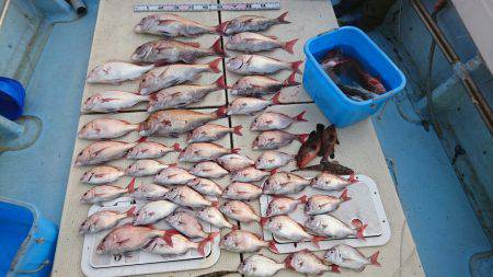 リトルワン 釣果