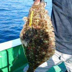 太幸丸 釣果