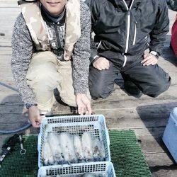 シードリーム 釣果