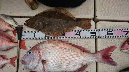 リトルワン 釣果