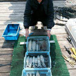 シードリーム 釣果