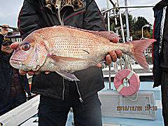 遊漁船 未紗奈 釣果