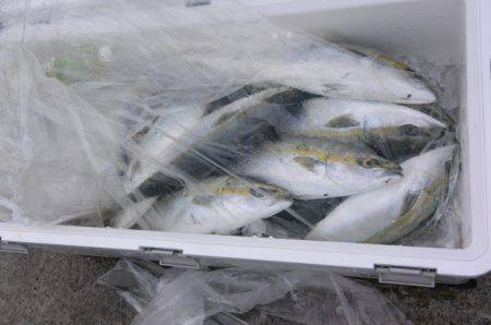 ジギング船 BLUEWATER 釣果