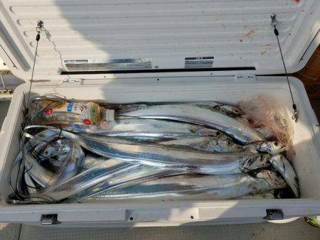 遊漁船　ニライカナイ 釣果