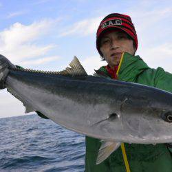 ジギング船 BLUEWATER 釣果