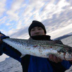 ジギング船 BLUEWATER 釣果