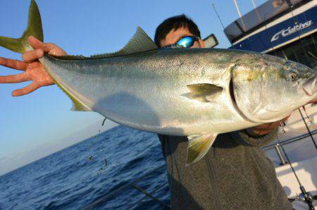 ジギング船 BLUEWATER 釣果