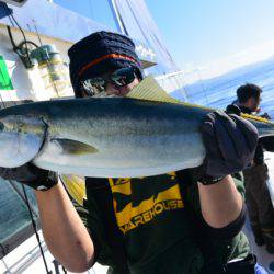 ジギング船 BLUEWATER 釣果