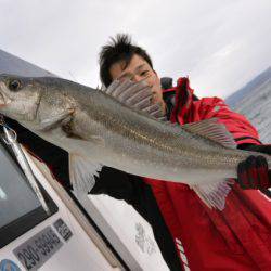 ジギング船 BLUEWATER 釣果