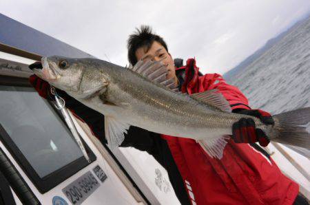 ジギング船 BLUEWATER 釣果