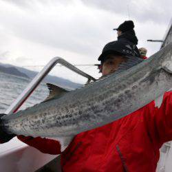 ジギング船 BLUEWATER 釣果