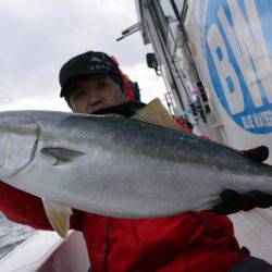 ジギング船 BLUEWATER 釣果