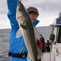 ジギング船 BLUEWATER 釣果