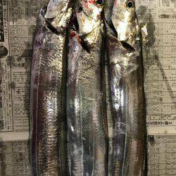 夕まづめルアー