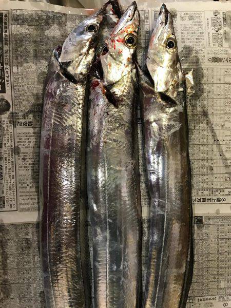 夕まづめルアー