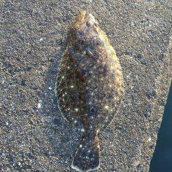 今日も爆釣(^^)/