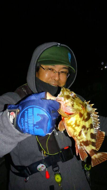 ブロガーさん達とわいわいライトゲームナイト…