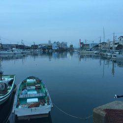 まだまだ釣れます！