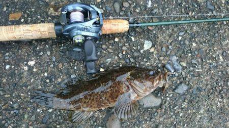 久しぶりのロック♪