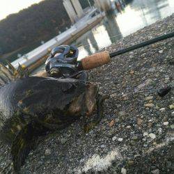 ロックフィッシュ開幕戦♪