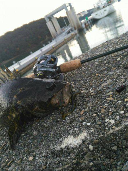 ロックフィッシュ開幕戦♪