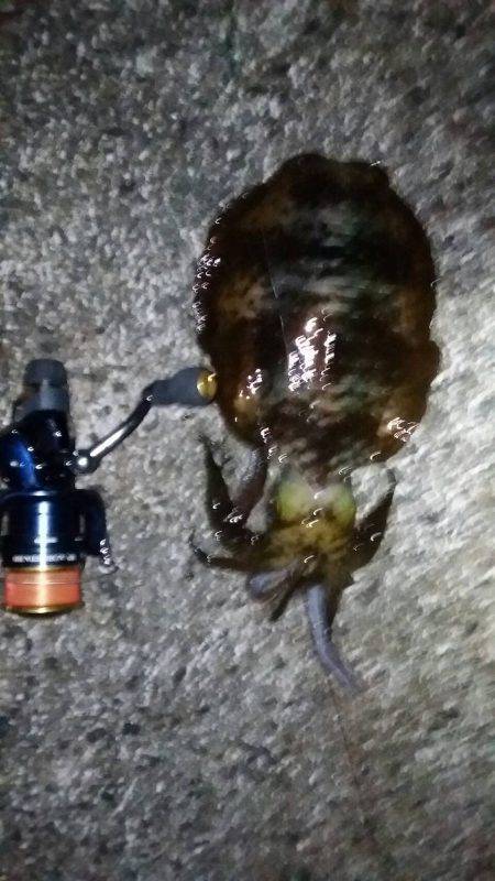 未熟なヤエン師 Lv.1