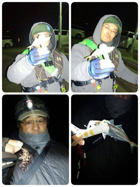 友人とアジングメバリング