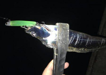 アピールカラーのグリーンで