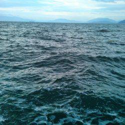 中潮は相性がいい～♪