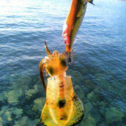 大きくなって帰って来い！