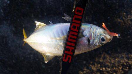 終盤戦でもまだまだ釣れる！？