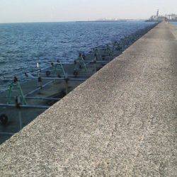 今日も釣れたよ！