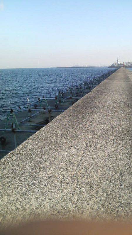 今日も釣れたよ！