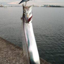 シーズン終了間際でどうにか一本