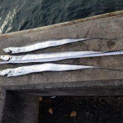 何とか五目達成♪