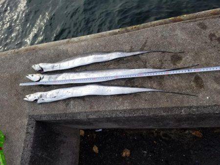 何とか五目達成♪