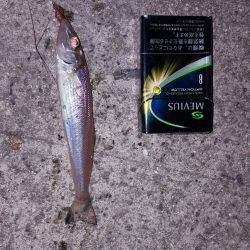 タッチー、お出かけ?