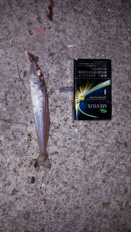 タッチー、お出かけ?