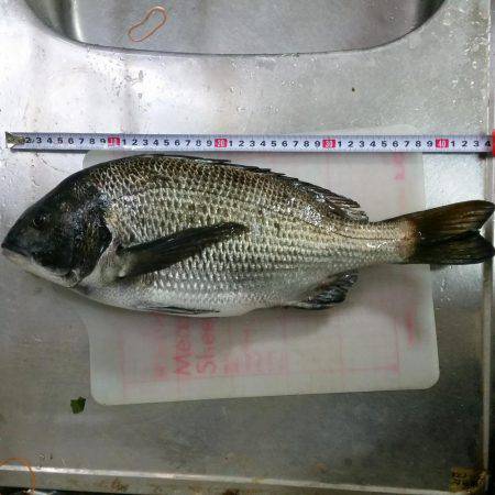 数年ぶりのフカセ