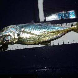 どおして君は2cm足りないの？