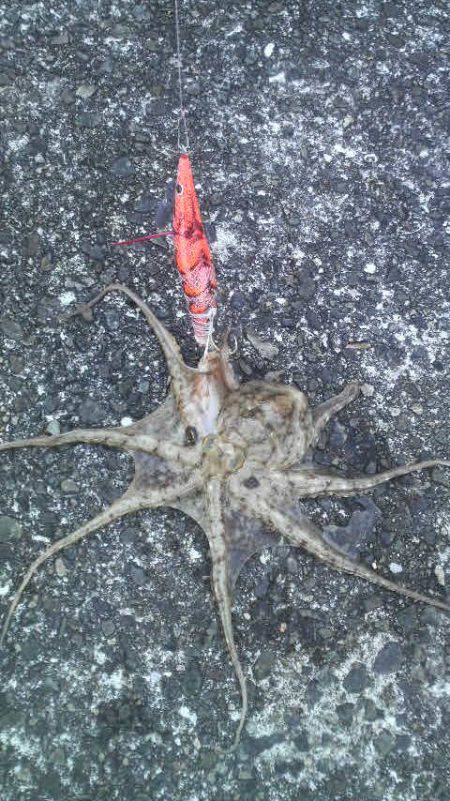 今日は良い天気だが・・・