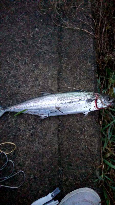 今年最後の釣り