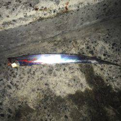 南芦屋浜タチウオ