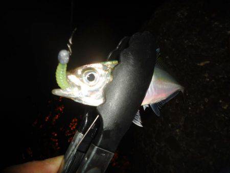 しんどいアジング