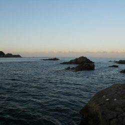 磯でアオリイカのヤエン釣り