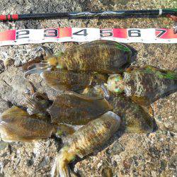 強風の中、磯でアオリイカのヤエン釣り